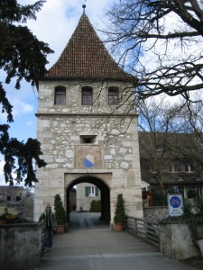 Rheinfall Castle