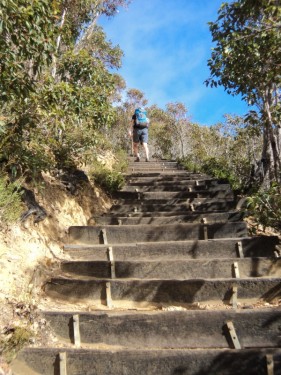 Heading Up Bluff Knoll