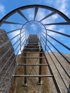 Ladder To The Cradle
