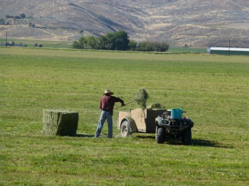 farmer