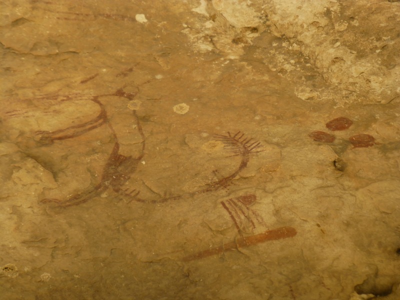 SC6